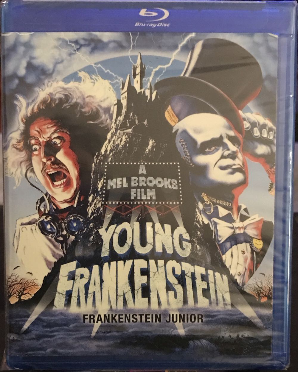 Young Frankenstein