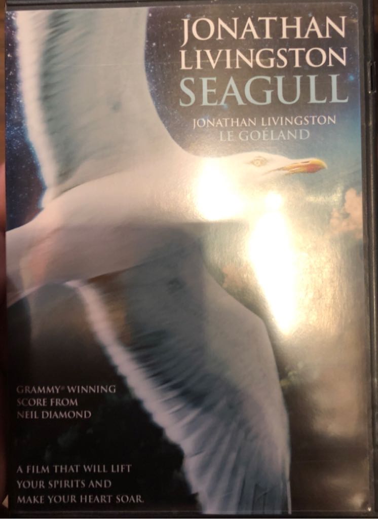 Seagull