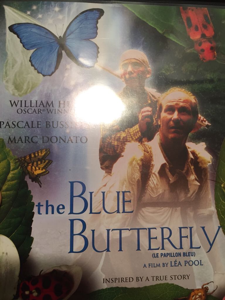 The Blue Butterfly