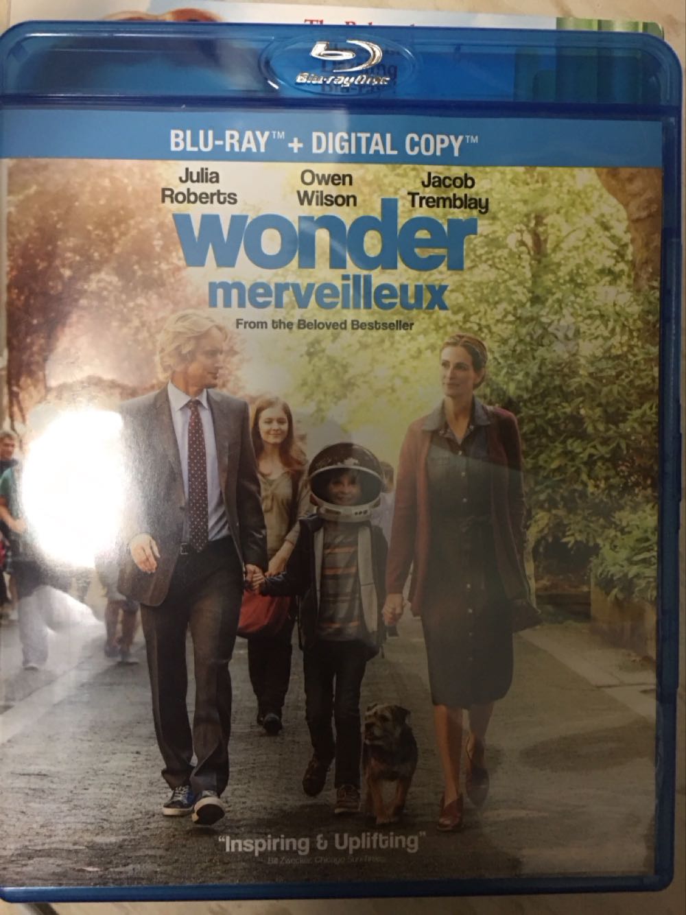 Wonder
