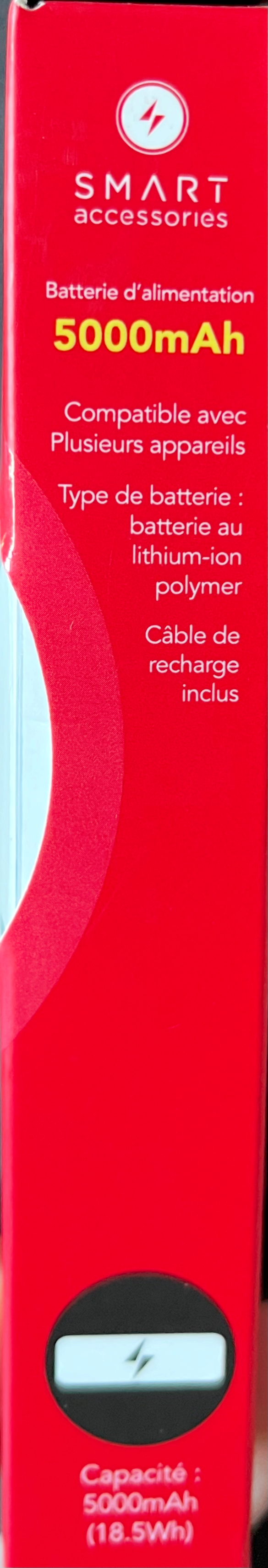 SMART Batterie portative