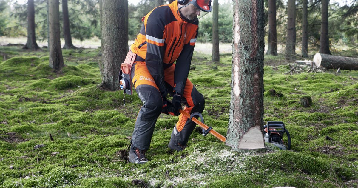 Husqvarna Breaking bar with Cant hook