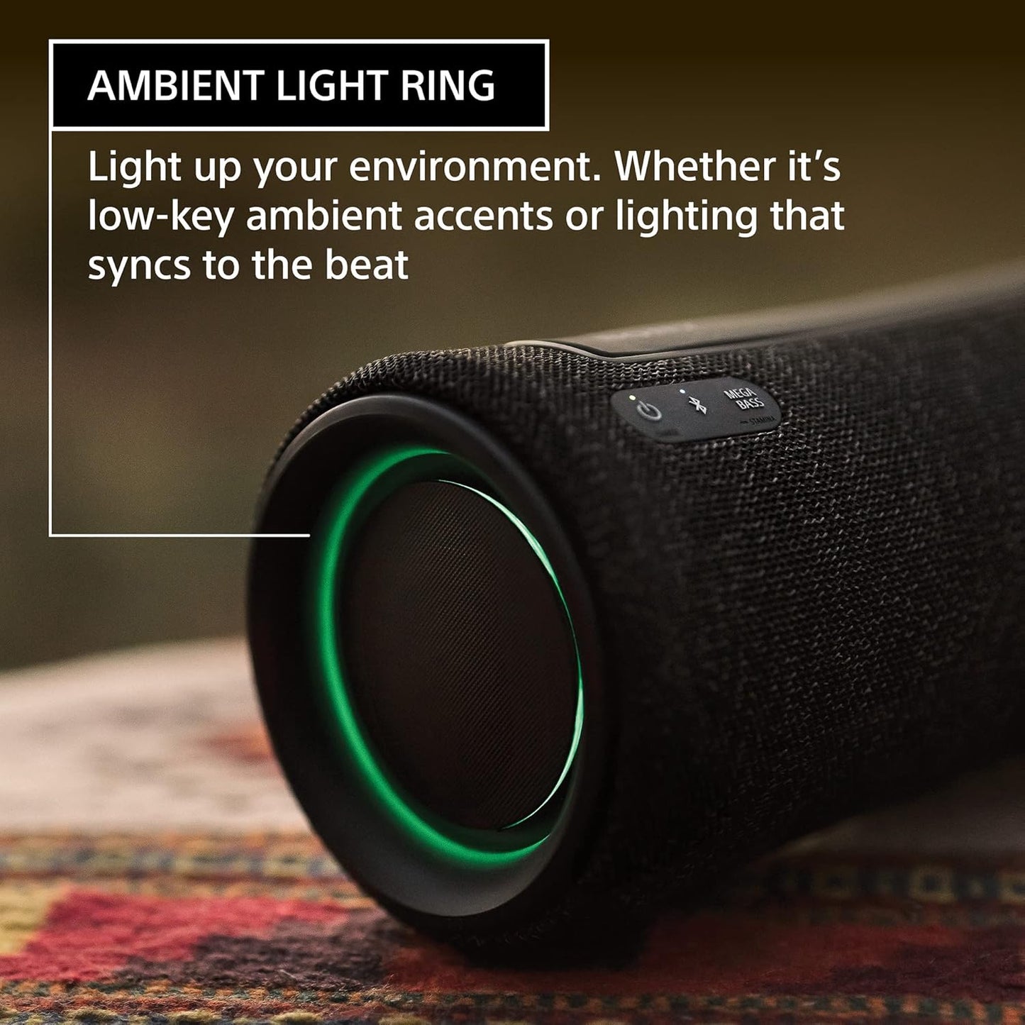 Sony X-Series Haut-parleur Bluetooth (SRS-XG300)