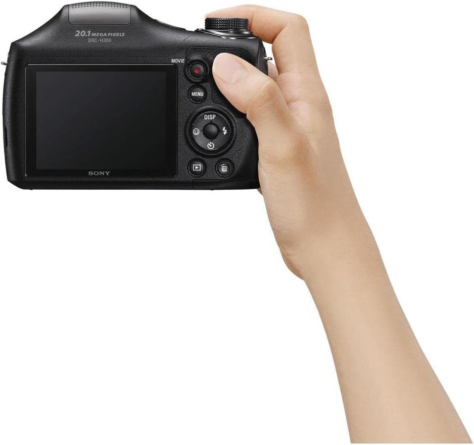 Sony Cyber-Shot Appareil photo numérique (DSC-H300)