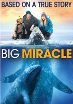 Big Miracle